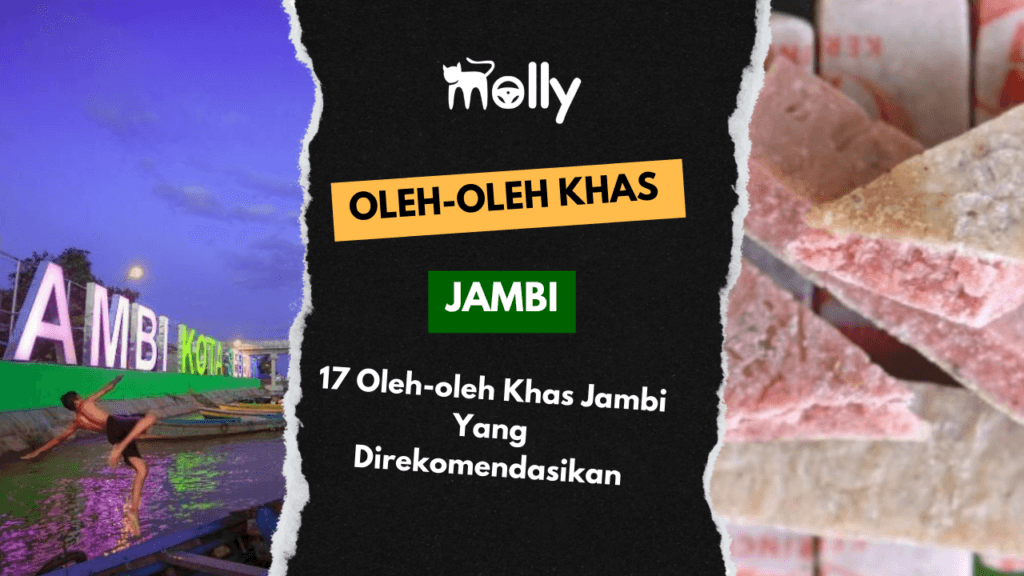 Oleh-oleh Khas Jambi Terfavorit dan Enak, Wajib Coba! 1 | Molly Wisata 2025 17 Oleh-oleh Khas Jambi Yang Direkomendasikan