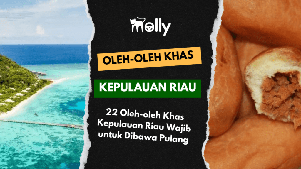Oleh-oleh Khas Kepulauan Riau Wajib untuk Dibawa Pulang! 1 | Molly Wisata 2025 22 Oleh-oleh Khas Kepulauan Riau Wajib untuk Dibawa Pulang