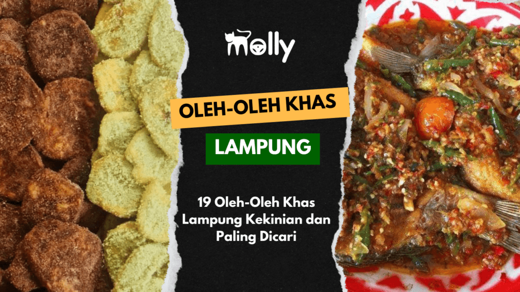 Oleh-Oleh Khas Lampung yang Terkenal dan Wajib Dibawa Pulang! 1 | Molly Wisata 2025 19 Oleh-Oleh Khas Lampung Kekinian dan Paling Dicari
