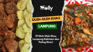 19 Oleh-Oleh Khas Lampung Kekinian dan Paling Dicari