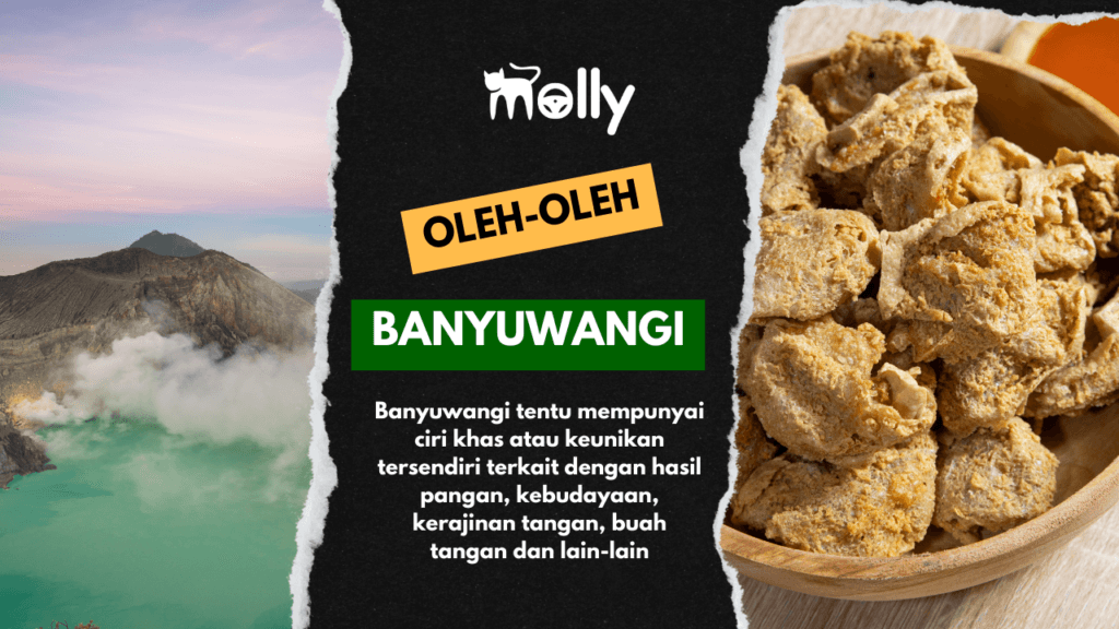 Oleh-Oleh Khas Banyuwangi yang Kekinian, Wajib Beli! 1 | Molly Wisata 2025 17 Oleh-Oleh Khas Banyuwangi Kekinian dan Termurah