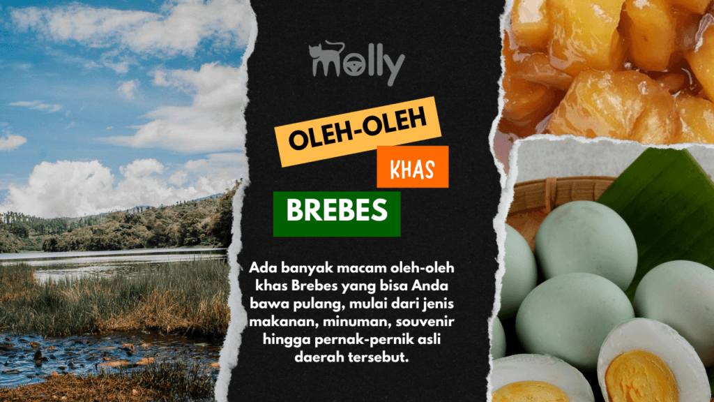 Oleh-Oleh Khas Brebes Jawa Tengah Terlengkap 1 | Molly Wisata 2025 16 Oleh-Oleh Khas Brebes Jawa Tengah Terlengkap