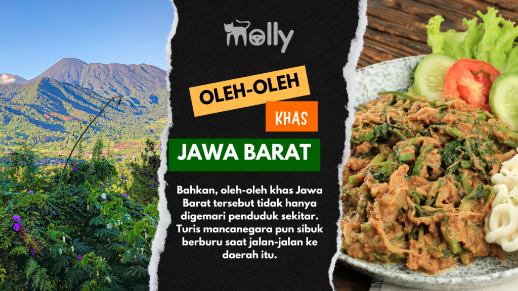 23 Oleh-oleh Khas Jawa Barat Spesial Untuk Dibawa Pulang