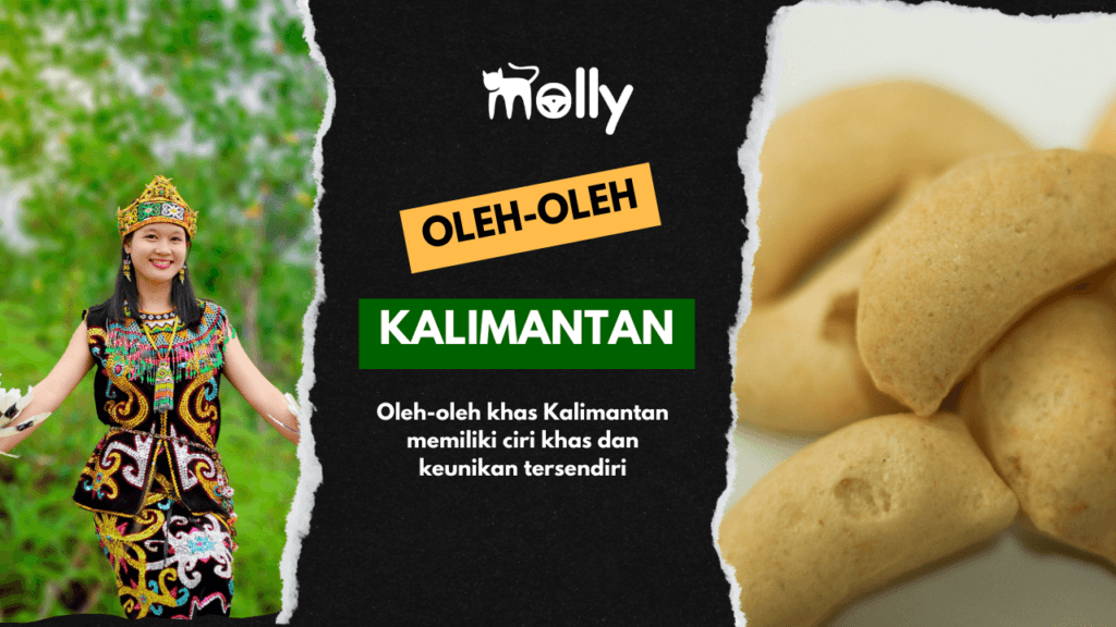 Oleh-oleh Khas Kalimantan yang Terkenal dan Murah 1 | Molly Wisata 2025 27 Oleh-oleh Khas Kalimantan Termurah Paling Recommended