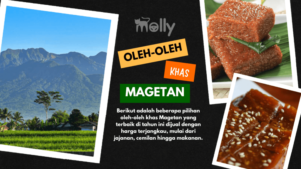 Oleh-oleh Khas Magetan Buruan Wisatawan 1 | Molly Wisata 2025 "23 Oleh-oleh Khas Magetan Buruan Wisatawan