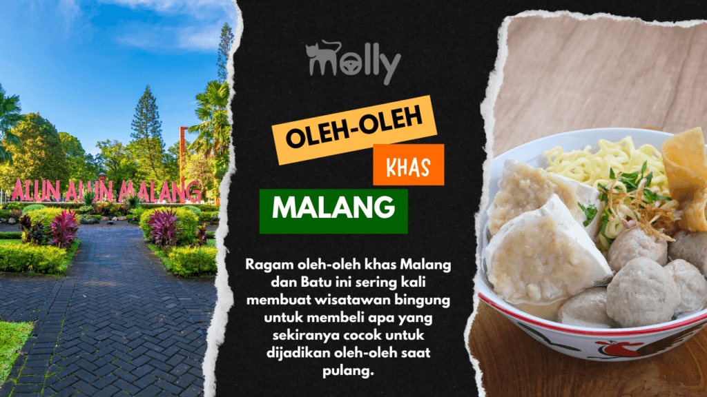Oleh-Oleh Khas Malang Kekinian dan Terkenal 1 | Molly Wisata 2025 15 Oleh-Oleh Khas Malang Paling Terkenal Dan Murah