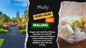 15 Oleh-Oleh Khas Malang Paling Terkenal Dan Murah