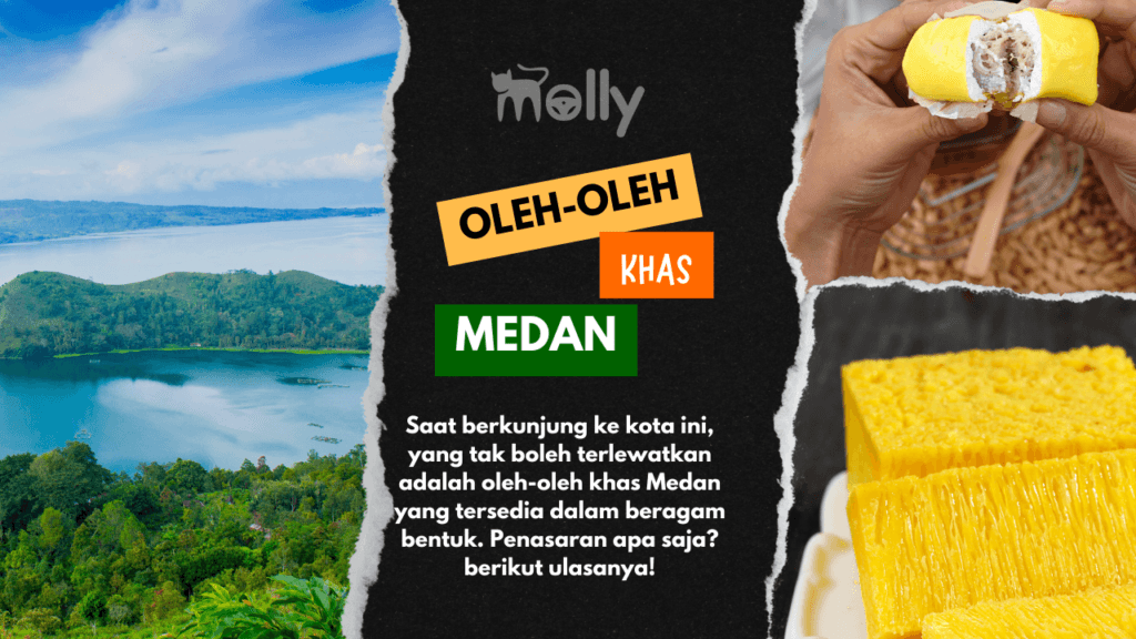 Oleh-oleh Khas Medan Paling Populer 1 | Molly Wisata 2025 13 Oleh-oleh Khas Medan Paling Populer Di Kalangan Wisatawan