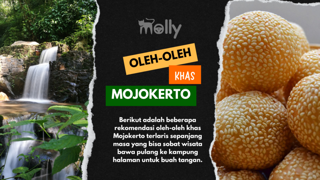 Oleh oleh Khas Mojokerto | Molly Wisata 2024