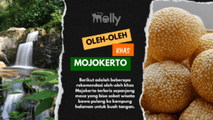 Oleh oleh Khas Mojokerto | Molly Wisata 2025