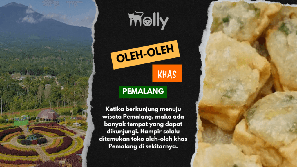 21 Oleh-oleh Khas Pemalang yang Mengesankan