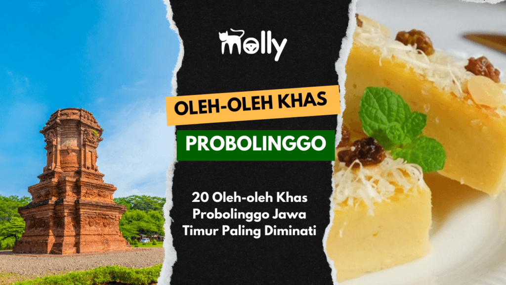 Oleh-oleh Khas Probolinggo yang Paling Dicari dan Wajib Kamu Bawa Pulang 1 | Molly Wisata 2025 20 Oleh-oleh Khas Probolinggo Jawa Timur Paling Diminati