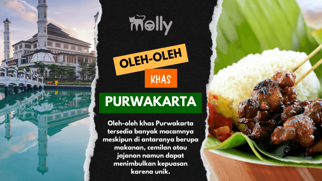 Oleh-Oleh Khas Purwakarta yang Terkenal dan Wajib Dibawa Pulang! 1 | Molly Wisata 2025 17 Oleh-Oleh Khas Purwakarta yang Unik dan Dijamin Memuaskan