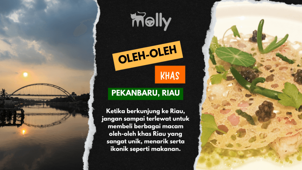 Oleh oleh Khas Riau | Molly Wisata 2025