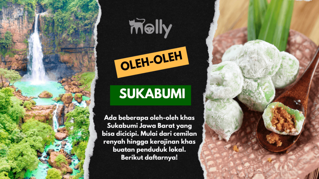 22 Oleh-oleh Khas Sukabumi yang Layak Dilirik