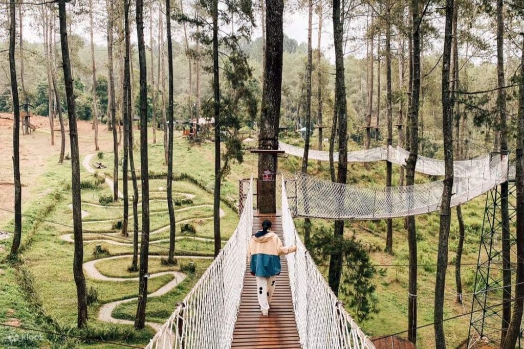 Orchid Forest Cikole, Lembang