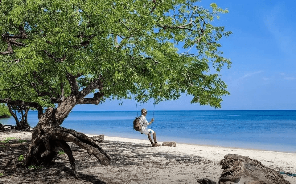 Tempat Wisata di Situbondo Paling Direkomendasikan 2 | Molly Wisata 2025 Pantai Bama