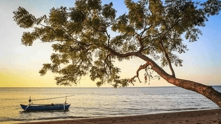 Tempat Wisata di Situbondo Paling Direkomendasikan 3 | Molly Wisata 2025 Pantai Banongan Situbondo