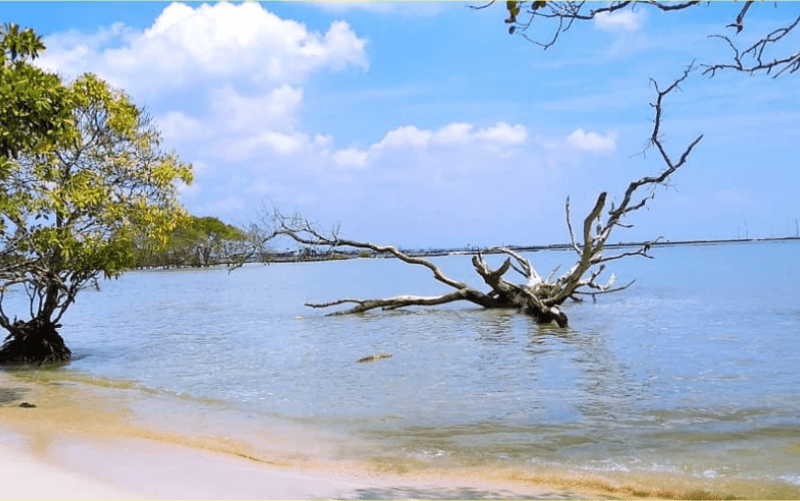 Tempat Wisata di Lamongan Yang Menarik 4 | Molly Wisata 2025 Pantai Brondong