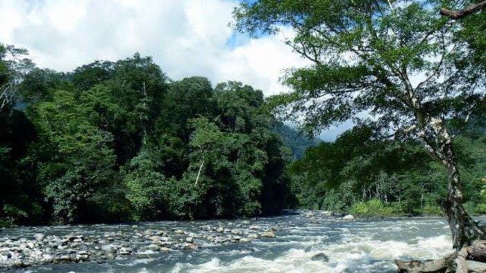 Tempat Wisata Di Kutacane Aceh Tenggara 6 | Molly Wisata 2025 Pantai Goyang