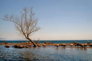 Pantai Hodo