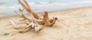 Pantai Nepa
