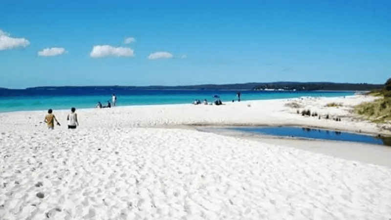 Tempat Wisata di Situbondo Paling Direkomendasikan 4 | Molly Wisata 2025 Pantai Pasir Putih Situbondo