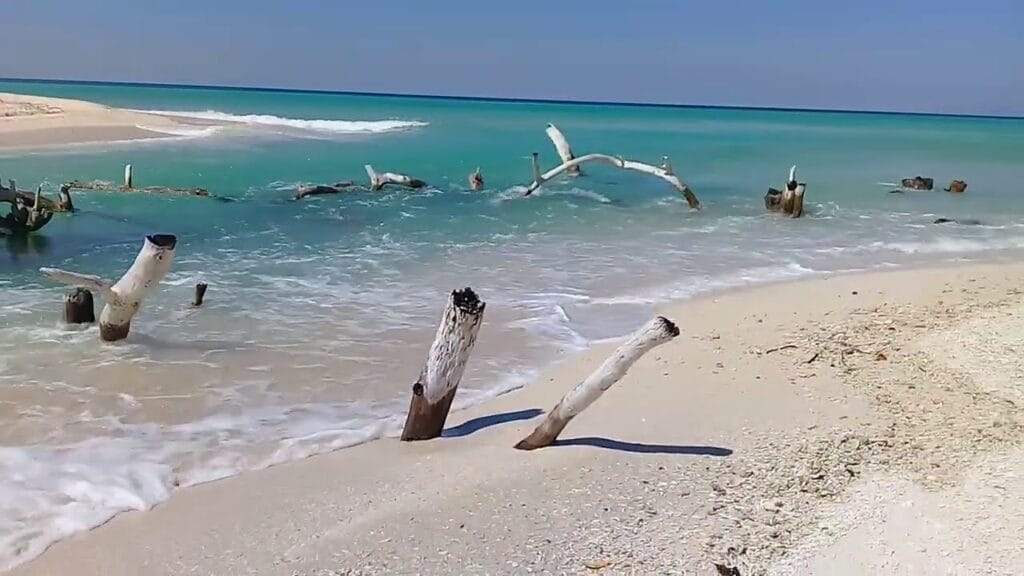 Pantai Welolo