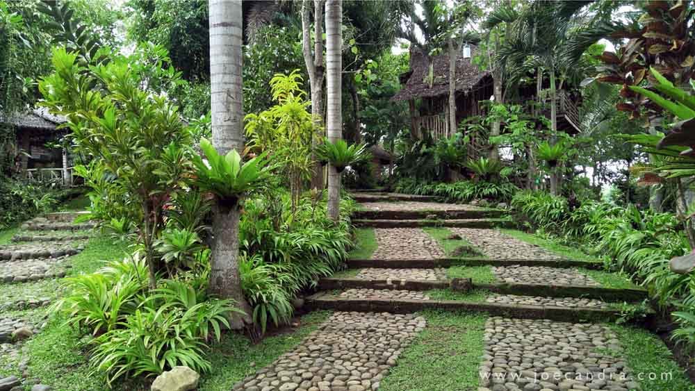 Tempat Wisata di Banyuwangi Terkeren, The Sunrise of Java 17 | Molly Wisata 2025 Pondok Indah Banyuwangi