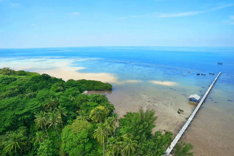 Tempat Wisata di Pulau Jawa yang Sangat Populer 11 | Molly Wisata 2025 Pulau Biawak