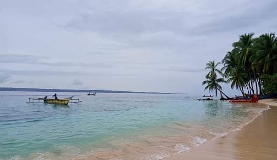 Pulau Owi