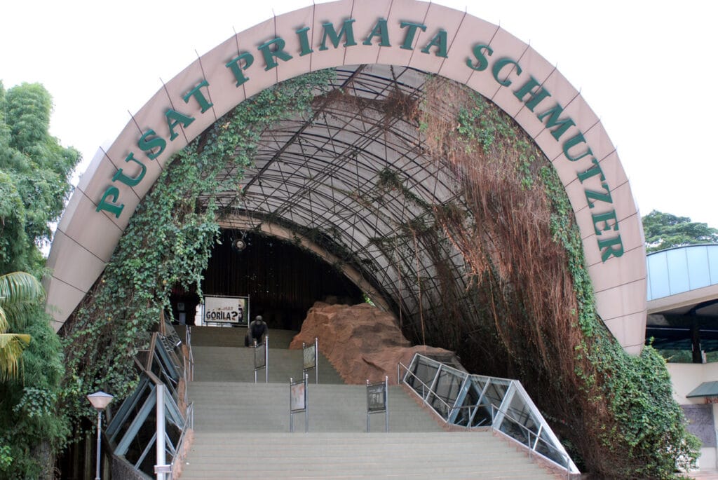 Pusat Primata Schmutzer