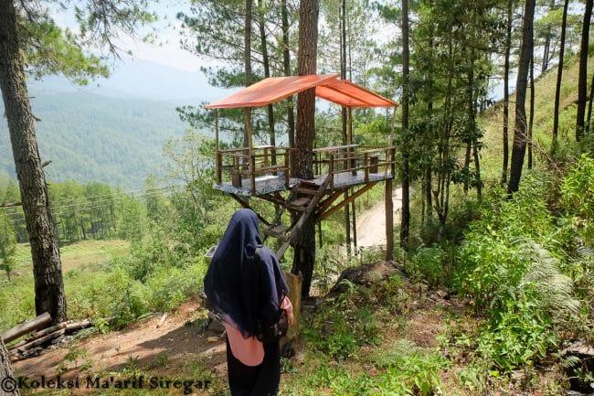 Rumah Pohon Genting