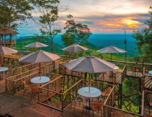 Tempat Wisata Di Langkat Paling Hits Dan Terbaru 10 | Molly Wisata 2025 Rumah Pohon Habitat