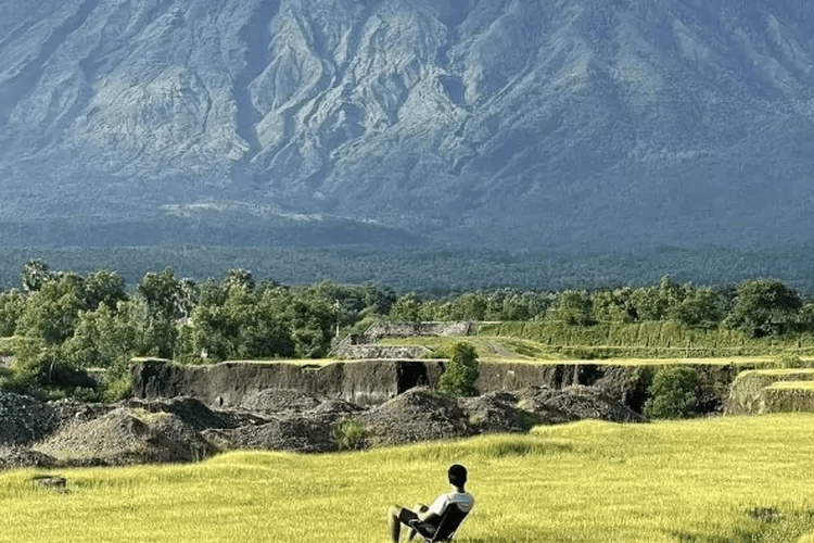 Savana Tianyar