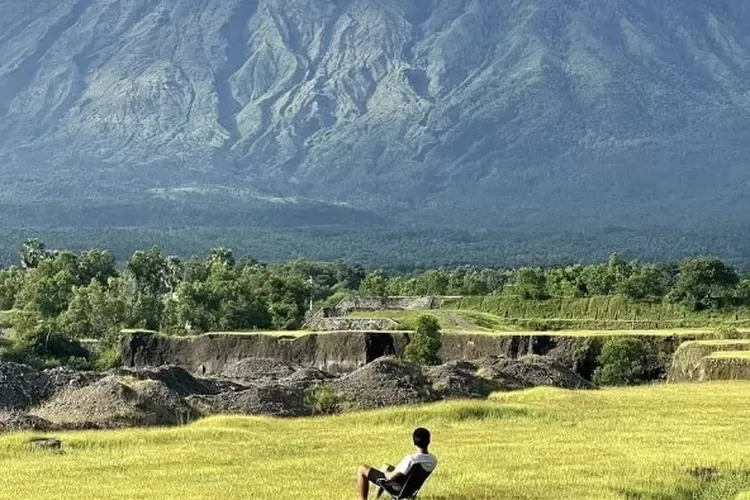 Savana Tianyar