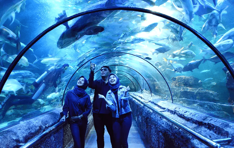 Tempat Wisata di Jakarta Yang Lagi Hits Untuk Liburan Paling Seru 26 | Molly Wisata 2025 Sea World Ancol