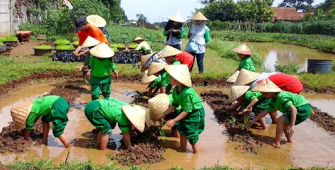 Sentulfresh Education Farm