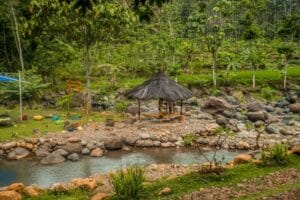 Tempat Wisata Di Pekalongan Terbaru Bernuansa Alam 23 | Molly Wisata 2025 Sipare Green Park