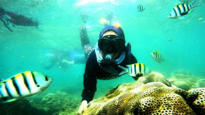 Snorkeling Ikan-Ikan Cantik Di Pantai Nglambor