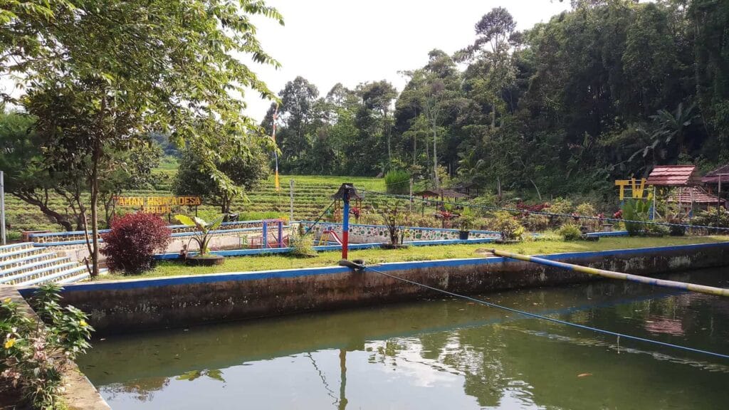 Tempat Wisata di Magetan, Keindahan Kota Kaki Gunung 13 | Molly Wisata 2025 Sumber Mata Air Desa Jabung