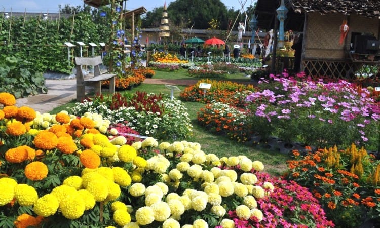 Taman Begonia, Lembang