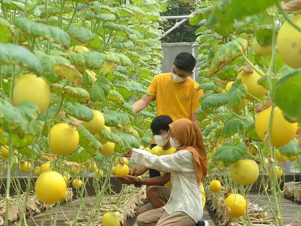 Taman Buah Mekarsari