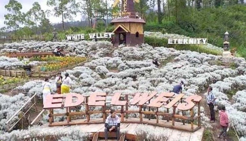 Taman Edelweiss Bali