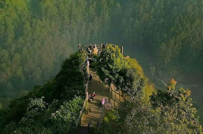 Taman Hutan Raya Ir. H. Djuanda