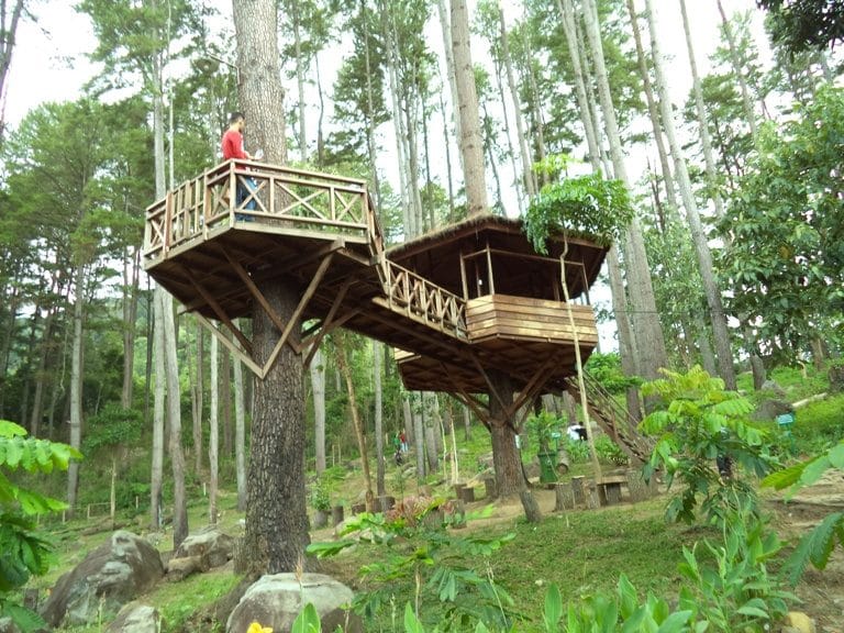 Taman Hutan Raya Pocut Meurah Intan
