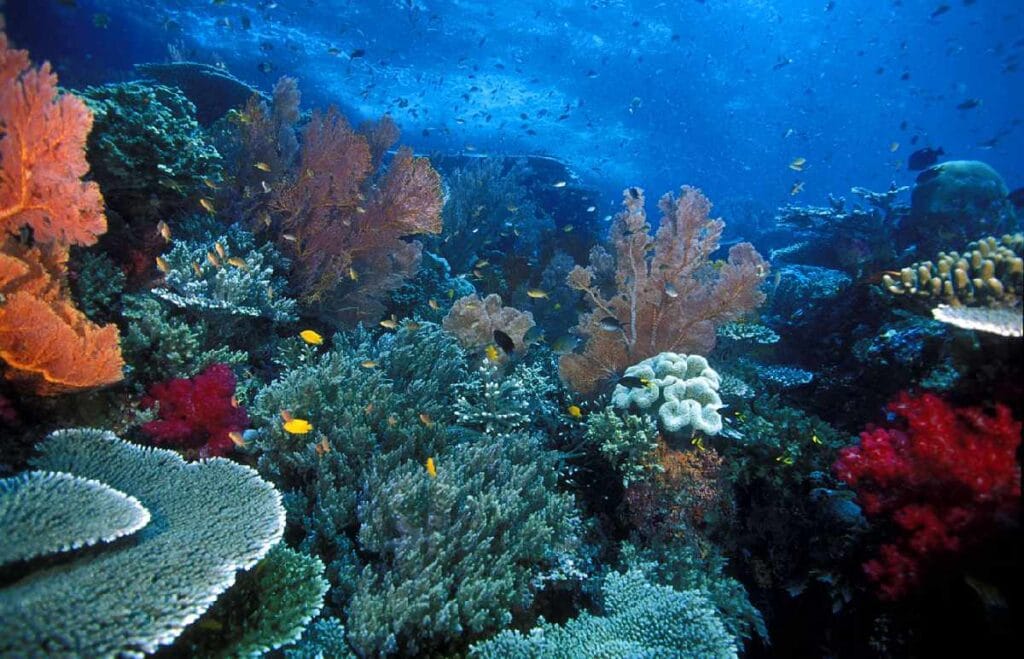 Taman Laut Pantar