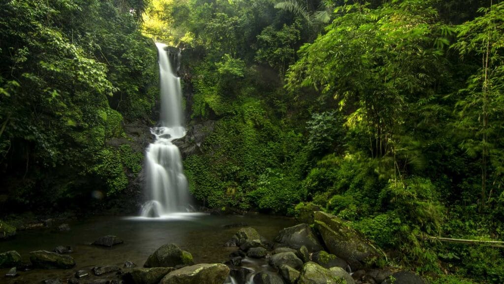 Taman Nasional Gunung Gede Pangrango
