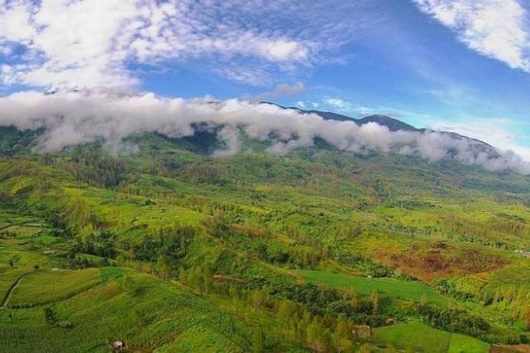 Taman Nasional Gunung Leuser