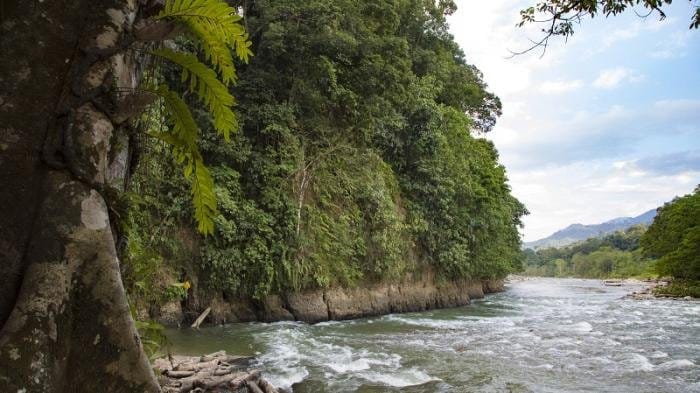 Tempat Wisata Di Sumatera Utara Terbaru & Terhits 3 | Molly Wisata 2025 Taman Nasional Gunung Leuser